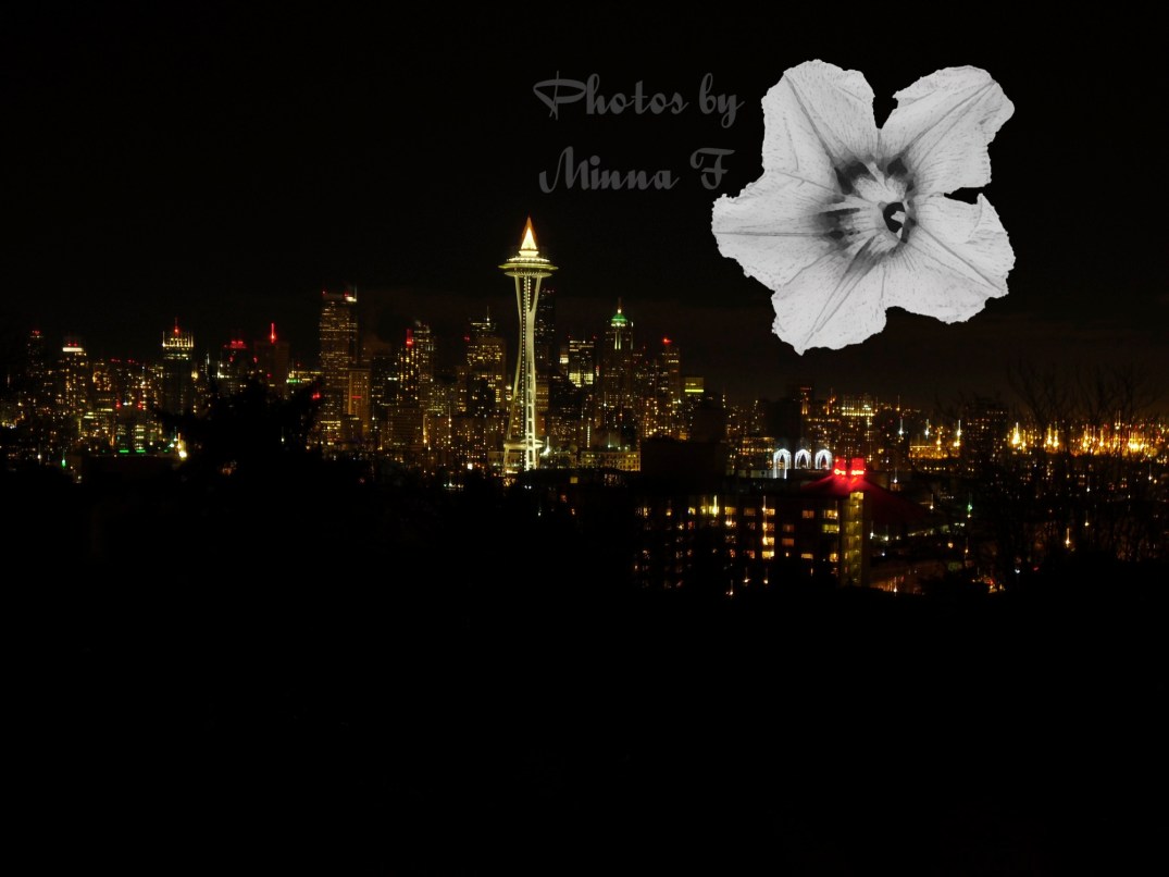 Seattle at night WM