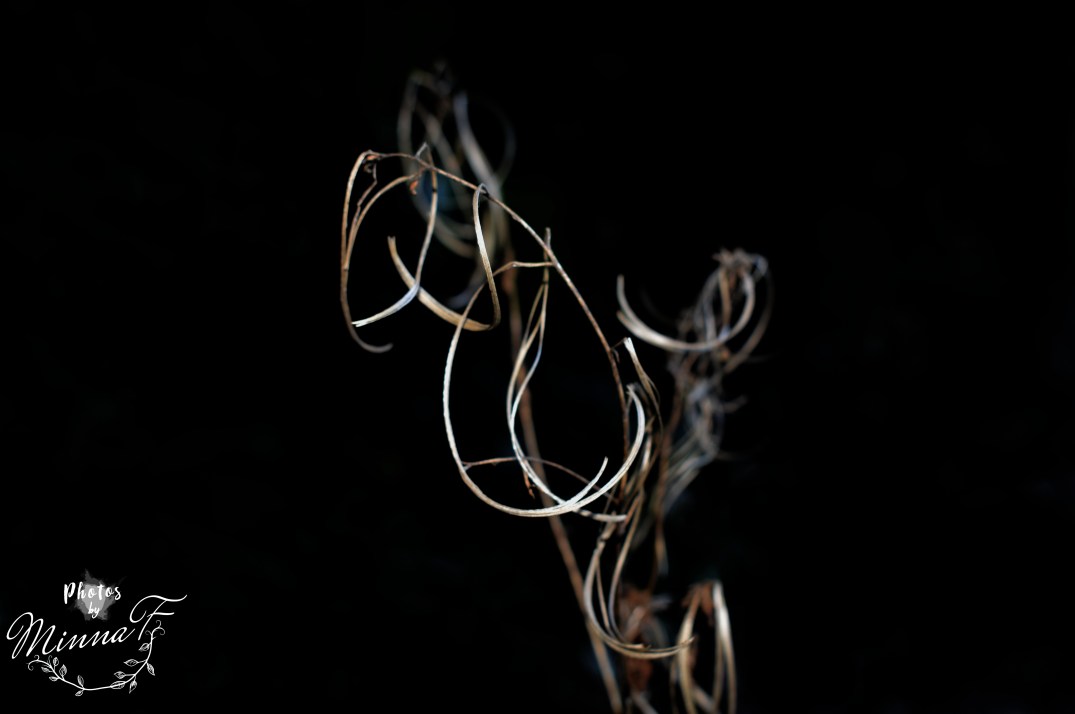 Light in a dark edited WM